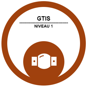 GTIS niveau 1