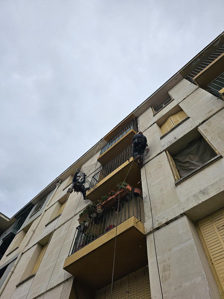 Pose de filets antivolatiles en milieu urbain à Arles