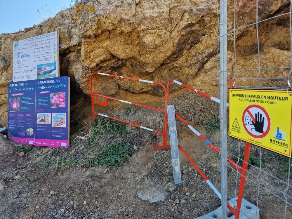 Bothier - Actualité - Arrachage des griffes de sorcières sur l’île de La Pietra, en Corse